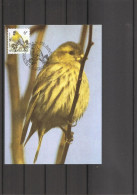 Belgique - Oiseaux - Buzin (   CM De 1996 à Voir) - 1991-2000
