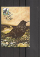 Belgique - Oiseaux - Buzin (  CM De 1996 à Voir) - 1991-2000