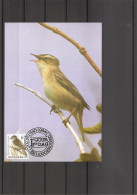 Belgique - Oiseaux - Buzin (  CM De 1994 à Voir) - 1991-2000