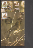 Belgique - Oiseaux - Buzin ( 2  CM De 1994 à Voir) - 1991-2000