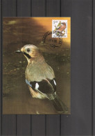 Belgique - Oiseaux - Buzin (   CM De 1993 à Voir) - 1991-2000