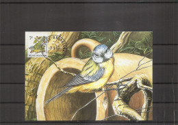 Belgique - Oiseaux - Buzin (    CM  De 1987 à Voir) - 1981-1990