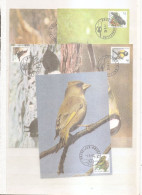 Belgique - Oiseaux - Buzin (  5  CM  De 1992 à Voir) - 1991-2000