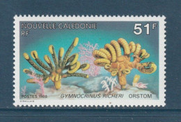 Nouvelle Calédonie - YT N° 557 ** - Neuf Sans Charnière - 1988 - Neufs