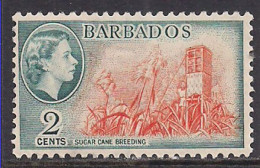 Barbados 1953-61 QE2 2cents SG 290 MNH ( K772 ) - Bahrain (...-1965)