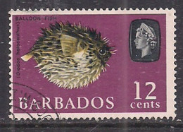 Barbados 1965 QE2 12cents Coral SG 329 Used ( K702 ) - Bahreïn (...-1965)