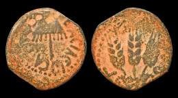 Judaea Herodians Agrippa I AE Prutah - Provincie