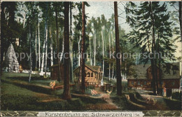 42205074 Fuerstenbrunn Schwarzenberg Historischer Ort Denkmal Saechsischer Prinz - Schwarzenberg (Erzgeb.)