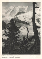 SUISSE - Le Piz-Palu Et Le Glacier De Morteratsch - Carte Postale Ancienne - Autres & Non Classés