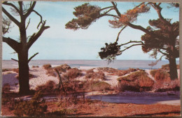 USA CALIFORNIA ASILOMAR CONFERENCE GROUNDS PACIFIC KARTE CARD POSTCARD CARTE POSTALE POSTKARTE CARTOLINA ANSICHTSKARTE - Long Beach