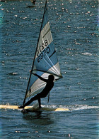 N°41256 Z -cpsm Planche à Voile - Sailing