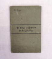 Die Pflege Der Wöchnerin Und Des Säuglings. Ein Handbuch Für Den Unterricht. - Autres & Non Classés