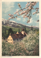 SUISSE - Malans (Graubunden)- Carte Postale - Malans