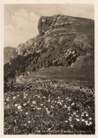 SUISSE - Le Chasseron Au Temps Des Annonces - Carte Postale - Baulmes