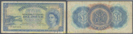 6968 BERMUDAS 1952 BERMUDA 1 POUND 1952 - Bermudes