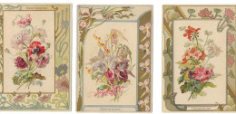 3 CARTES CHROMOS STYLE ART NOUVEAU - THEME FLEURS - PAVOTS ORCHIDEES GERANIUMS - Sonstige & Ohne Zuordnung