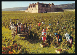 CPM / CPSM 10.5 X 15 Côte D'Or (?) Les Vendanges En Bourgogne - Meursault