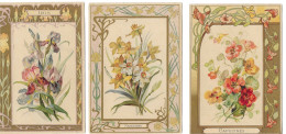 3 CARTES CHROMOS STYLE ART NOUVEAU - THEME FLEURS - IRIS CAPUCINES NARCISSES - Sonstige & Ohne Zuordnung