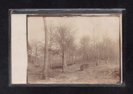 (08/02/24) 78-CPA MONTFORT L'AMAURY - CARTE PHOTO - DANS LE BOIS DE MONTFORT - BUCHERON - STERE DE BOIS - Montfort L'Amaury