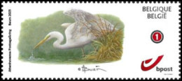 DUOSTAMP/MYSTAMP** - Cercle D'Ottoncourt/Attenhovense Postzegelkring - Grande Aigrette/Grote Zilverreiger - BUZIN - RR - Storks & Long-legged Wading Birds