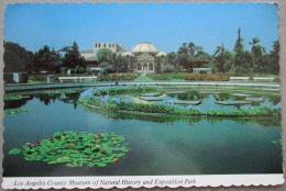 USA CALIFORNIA LOS ANGELES COUNTY MUSEUM NATURAL HISTORY CARD POSTCARD CARTE POSTALE POSTKARTE CARTOLINA ANSICHTSKARTE - Long Beach