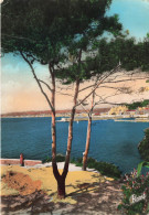 FRANCE - Nice - La Jetée Vue Du Jardin - Théodore De Benville - Colorisé - Carte Postale Ancienne - Sonstige & Ohne Zuordnung