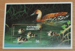 ANTIGUA & BARBUDA 1994, Birds, Ducks, Mi #B309, Souvenir Sheet, MNH** - Ducks