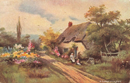 ILLUSTRATION - A Cottage At Lingfield - Carte Postale - Zonder Classificatie