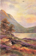 ILLUSTRATION - Dinas Lake - Wales - Carte Postale Ancienne - Zonder Classificatie