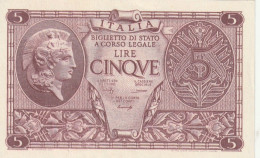 BANCONOTA ITALIA REGNO BIGLIETTO DI STATO LIRE 5 UNC  (B_413 - Italia – 5 Lire