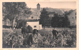 Abbaye D'EN-CALCAT (Tarn) Par Dourgne - Religieux Au Travail Dans Les Vignes - Cliché Le Boyer - Dourgne