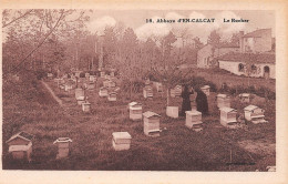 Abbaye D'EN-CALCAT (Tarn) Par Dourgne - Le Rucher - Abeilles - Dourgne