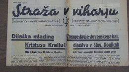 NEWSPAPER , STRAZA  V VIHARJU - Lingue Slave