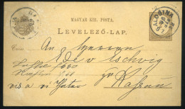 HUNGARY 1896 PS Card Rare Cancellation ZSALOBINA - Postal Stationery