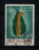 Ceylan - "Année Internationale Du Riz" - Oblitéré N° 364 De 1966 - Sri Lanka (Ceylon) (1948-...)