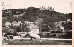 39 - ORGELT _S26281_ Environs - La Tour Du Meix - Vue Générale - Agriculture - CPSM 14x9 Cm - Orgelet