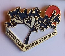 SP62 Pin's JUDO Club Dangé Saint Romain ST Vienne Achat Immédiat - Judo