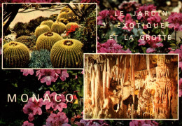 Monaco Le Jardin Exotique Et La Grotte 1979 Dupuy Tours Multi Vue Generale - Exotische Tuin