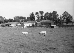 Photographie Originale  - Vue Sur Le Hameau Du Long Pré - Photo Joseph Delmelle - Dim:13/18 Cm - Lieux