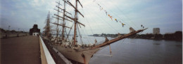 Photographie Originale  - Panoramique - Voilier - CEAOB - Dim25/9cm - Boats