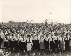 Photographie Originale  - Slubujemy Ci Polsko  - Voeux à La Pologne - Dim:18/20 Cm - Plaatsen