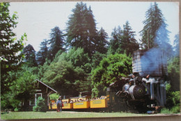 USA CALIFORNIA TRAIN RAIL LOCO TUOLUMNE HEISLER SANTA CRUZ POSTCARD CARTE POSTALE POSTKARTE CARTOLINA ANSICHTSKARTE - Long Beach