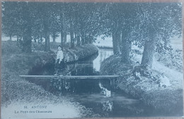 Delcampe - ANTONY  LE PONT DES CHASSEURS 31 - Antony