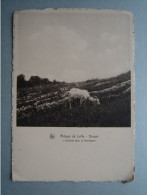 Delcampe - Dinant - Abbaye De Leffe - Solitude Dans La Montagne - Dinant