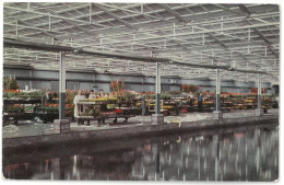 CPSM AALSMEER - Centrale Aalsmeersche Veiling - Perron Voor Perkplanten Met Aanvoer-kanaal - Année 1963 - Aalsmeer