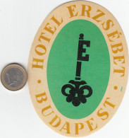 ETIQUETA - STICKER - LUGGAGE LABEL  HOTEL ERZSEBET - BUDAPEST -  HONGRIE - HUNGARY - Etiquettes D'hotels