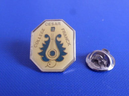 Pin's Collège Cesar Franck - Instrument De Musique Canard Eau - Palaiseau Ou Amiens (UA17) - Administrations