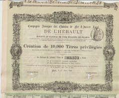 CHEMINS De FER De L'HERAULT Décoré 1890 - Railway & Tramway