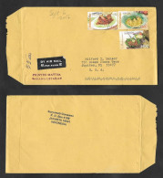 SE)2016 INDONESIA, INDONESIAN GASTRONOMY, CINCANE, LEMPAH KUNING, TRADITIONAL GASTRONOMY, AIR MAIL, CIRCULATED COVER FRO - Indonésie