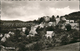 41783295 Osternohe Lauf Gasthaus Igel Schlossberg Osternohe Lauf - Lauf